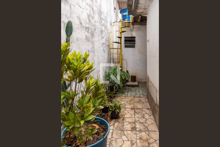 Área Externa de casa para alugar com 1 quarto, 125m² em Jardim Valeria, Guarulhos