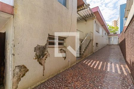 Casa para alugar com 250m², 2 quartos e 10 vagasQuintal e Jardim Fundos
