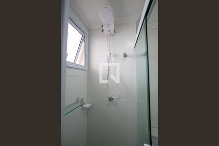 Banheiro de apartamento para alugar com 2 quartos, 50m² em Baeta Neves, São Bernardo do Campo