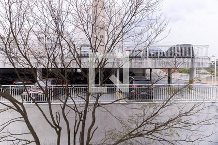 Apartamento para alugar com 82m², 3 quartos e 1 vagaVista do Quarto 2