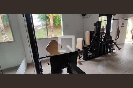 Apartamento à venda com 50m², 2 quartos e 1 vaga Apartamento à venda com 50m², 2 quartos e 1 vagaAcademia