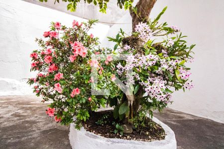 Casa à venda com 193m², 3 quartos e 1 vagaQuintal