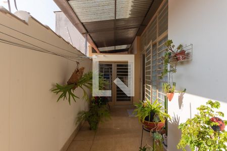 Casa à venda com 280m², 3 quartos e 2 vagas Casa à venda com 280m², 3 quartos e 2 vagasCasa dos Fundos-Quintal