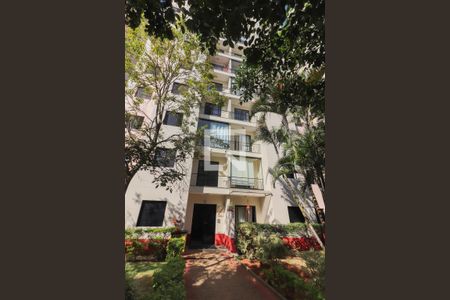 Fachada do bloco de apartamento para alugar com 2 quartos, 47m² em Jardim Celeste, São Paulo