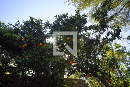 Casa para alugar com 400m², 3 quartos e 6 vagasQuintal