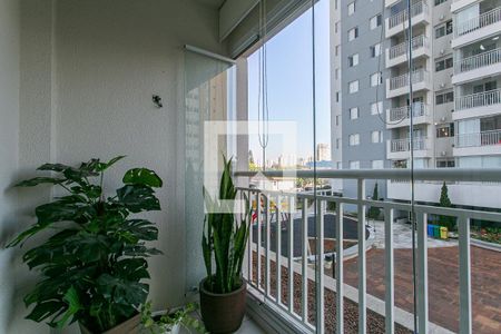 Varanda da Sala de apartamento para alugar com 2 quartos, 50m² em Maranhão, São Paulo