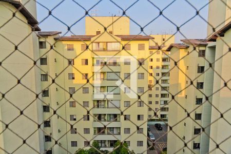 Vista de apartamento para alugar com 3 quartos, 72m² em Vila Palmeiras, São Paulo