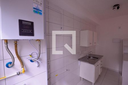 Area de Serviço de apartamento para alugar com 2 quartos, 40m² em Jardim São Savério, São Paulo