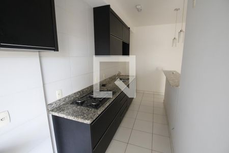 Cozinha de apartamento para alugar com 3 quartos, 80m² em Parque Industrial Paulista, Goiânia