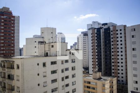 Vista da Varanda  de apartamento para alugar com 1 quarto, 51m² em Parque Imperial, São Paulo