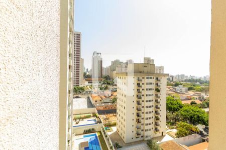 Apartamento para alugar com 48m², 1 quarto e 1 vagaVista 