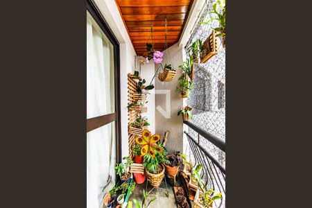 Varanda de apartamento para alugar com 3 quartos, 79m² em Jardim Henriqueta, Taboão da Serra