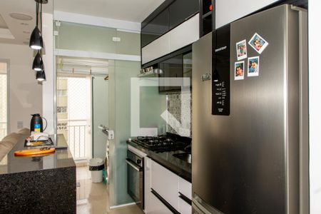 Cozinha de apartamento para alugar com 2 quartos, 58m² em Jardim Flor da Montanha, Guarulhos