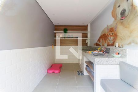 Area Comum - Petplace de apartamento para alugar com 1 quarto, 28m² em Vila das Belezas, São Paulo