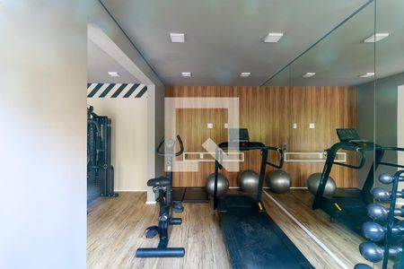 Área comum - Academia de apartamento para alugar com 1 quarto, 28m² em Vila das Belezas, São Paulo