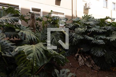 Apartamento para alugar com 60m², 2 quartos e 1 vagaVista Janela Lavanderia