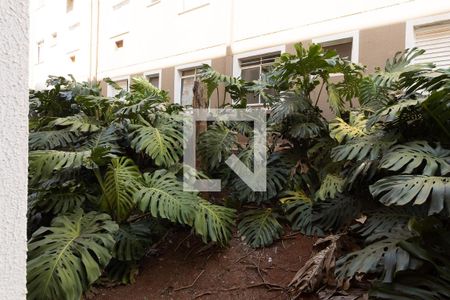 Vista Janela Quarto 1 de apartamento para alugar com 2 quartos, 60m² em Jardim Heitor Rigon, Ribeirão Preto