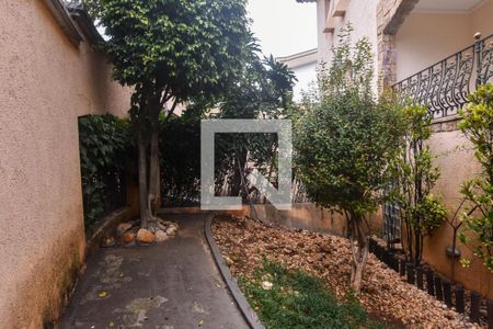 Casa à venda com 660m², 3 quartos e 6 vagasQuintal