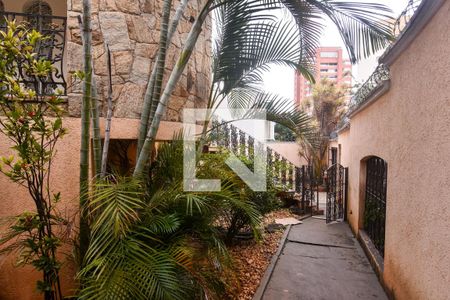 Casa à venda com 660m², 3 quartos e 6 vagasQuintal