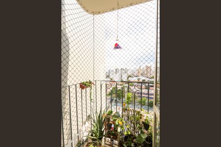 Varanda - Sala de apartamento à venda com 3 quartos, 75m² em Jardim São Paulo(zona Norte), São Paulo