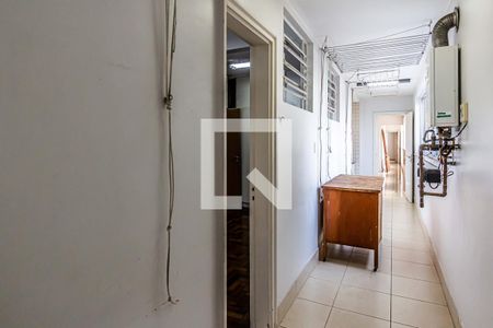Apartamento para alugar com 327m², 5 quartos e 3 vagasÁrea de serviço