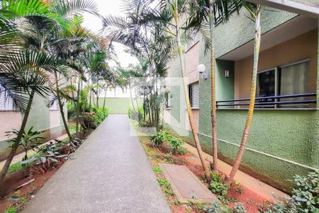 Apartamento para alugar com 57m², 2 quartos e 1 vaga Apartamento para alugar com 57m², 2 quartos e 1 vagaÁrea Comum