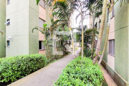 Apartamento para alugar com 57m², 2 quartos e 1 vaga Apartamento para alugar com 57m², 2 quartos e 1 vagaÁrea Comum