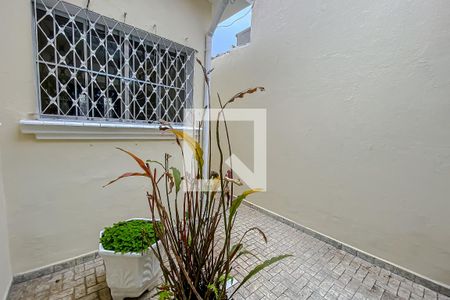 Casa para alugar com 300m², 3 quartos e 2 vagasQuintal