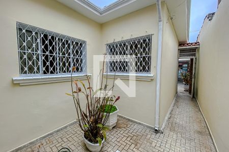 Casa para alugar com 300m², 3 quartos e 2 vagasQuintal