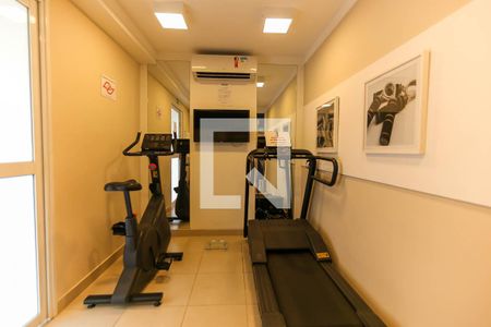 Apartamento para alugar com 41m², 2 quartos e sem vaga Apartamento para alugar com 41m², 2 quartos e sem vagaÁrea comum - Academia