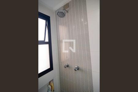 Banheiro Social de apartamento para alugar com 3 quartos, 106m² em Parque Colonial, São Paulo