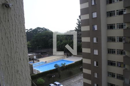 Apartamento para alugar com 60m², 3 quartos e 1 vagaVista do Quarto 1