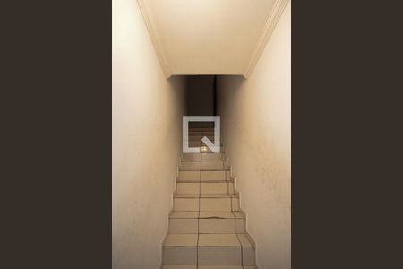 escada de casa para alugar com 3 quartos, 250m² em Jardim Tietê, São Paulo