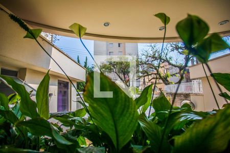 Vista de apartamento para alugar com 1 quarto, 85m² em Chácara Inglesa, São Paulo