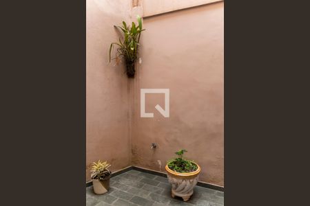 Casa à venda com 270m², 3 quartos e 3 vagasQuintal