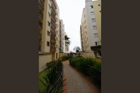 Apartamento para alugar com 50m², 2 quartos e 1 vaga Apartamento para alugar com 50m², 2 quartos e 1 vagaÁrea comum