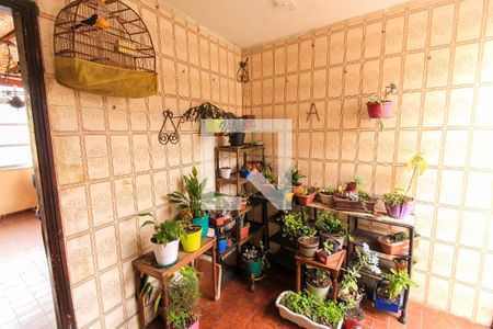 Casa à venda com 430m², 5 quartos e 5 vagasÁrea Externa