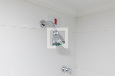 Apartamento para alugar com 60m², 2 quartos e 1 vagaDucha