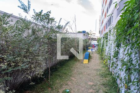 Studio para alugar com 25m², 1 quarto e sem vagaEspaço pet