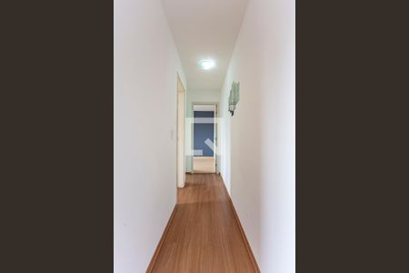 Corredor de apartamento à venda com 2 quartos, 55m² em Parque São Vicente, Santo André