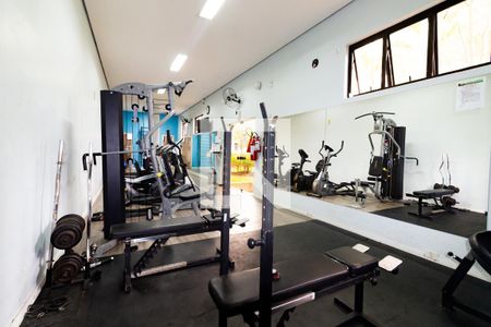 Academia de apartamento para alugar com 2 quartos, 68m² em Jardim Pinheiros, São Paulo