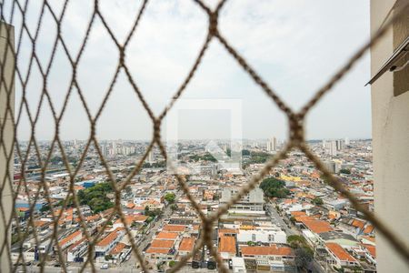 Apartamento à venda com 250m², 4 quartos e 4 vagasVista da suíte 02