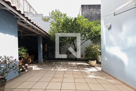 Casa à venda com 300m², 3 quartos e 3 vagasQuintal