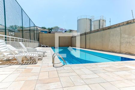 Área Comum - Piscina de apartamento à venda com 2 quartos, 50m² em Vila Guilherme, São Paulo