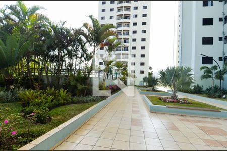 Apartamento para alugar com 64m², 3 quartos e 1 vagaÁrea Externa