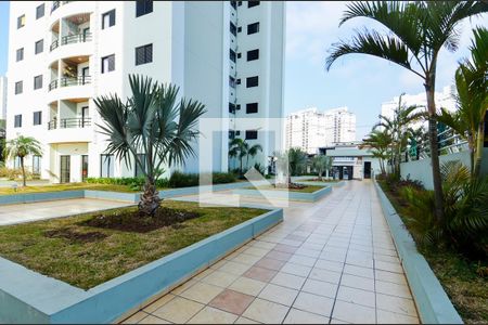 Apartamento para alugar com 64m², 3 quartos e 1 vagaÁrea Externa