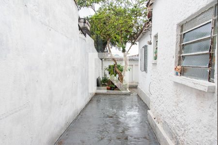 Casa à venda com 218m², 2 quartos e 2 vagasQuintal