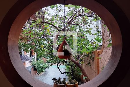 Casa à venda com 1000m², 4 quartos e 3 vagasDetalhe da área da churrasqueira