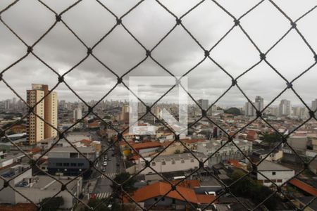 Apartamento à venda com 116m², 3 quartos e 1 vaga Apartamento à venda com 116m², 3 quartos e 1 vagaVista Suíte