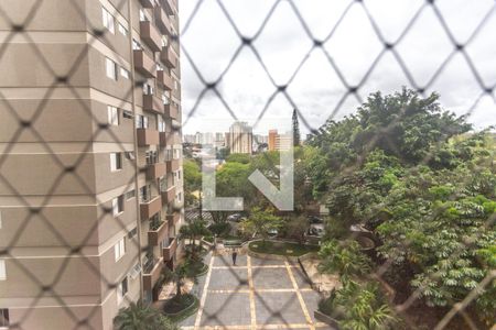 Apartamento para alugar com 90m², 3 quartos e 1 vagaVista quarto 2